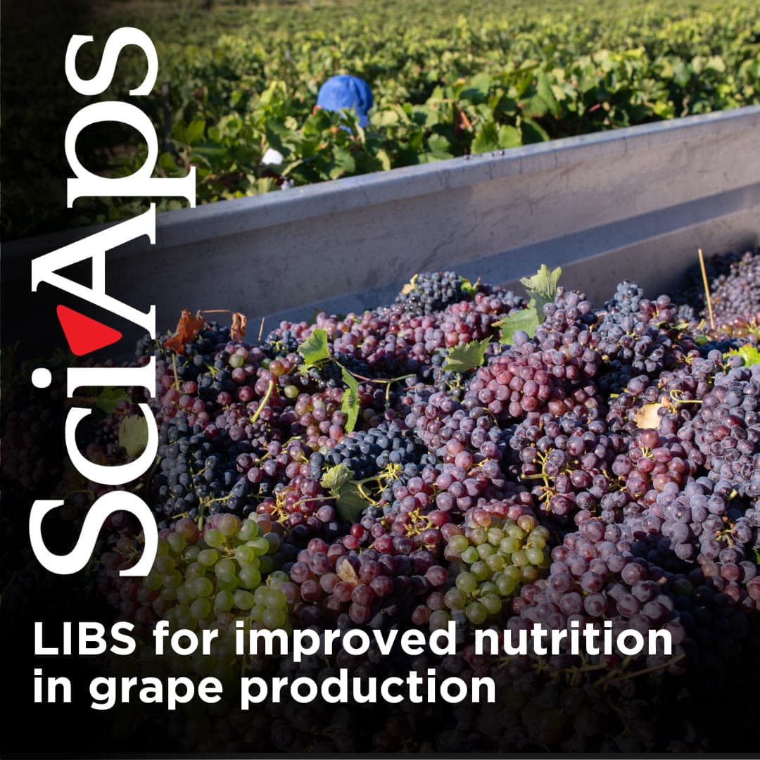 Finding a LIBS method for improved plant nutrition in grape production